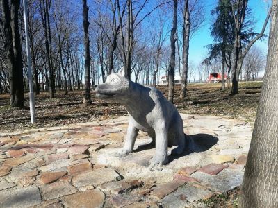 Дядовата ръкавичка - Art Angelovi (Арт Ангелови) - Стамболийски, Пловдив, Благоевград, Бургас, Варна,Велико Търново, Габрово, Монтана, Пазарджик, Перник, Пловдив, Русе, Сливен, Смолян, София, Стара Загора, Ямбол