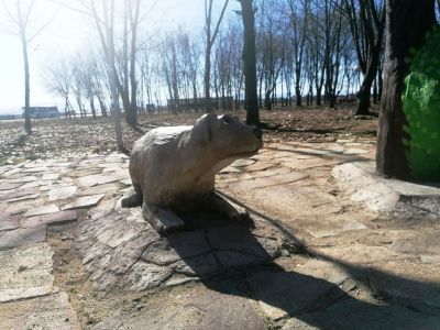 Косе Босе - Art Angelovi (Арт Ангелови) - Стамболийски, Пловдив, Благоевград, Бургас, Варна,Велико Търново, Габрово, Монтана, Пазарджик, Перник, Пловдив, Русе, Сливен, Смолян, София, Стара Загора, Ямбол